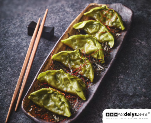 ACC-GYOZA-LEGUMES-YASAI