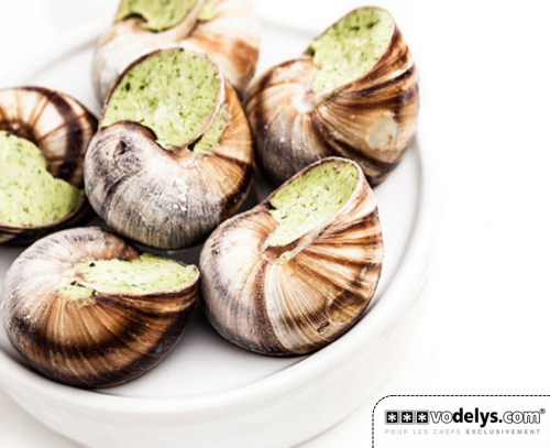 ESCARGOT