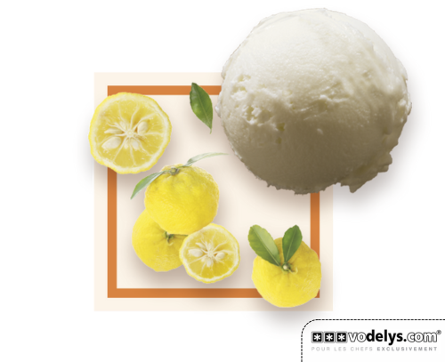 GDA-SORBET-YUZU