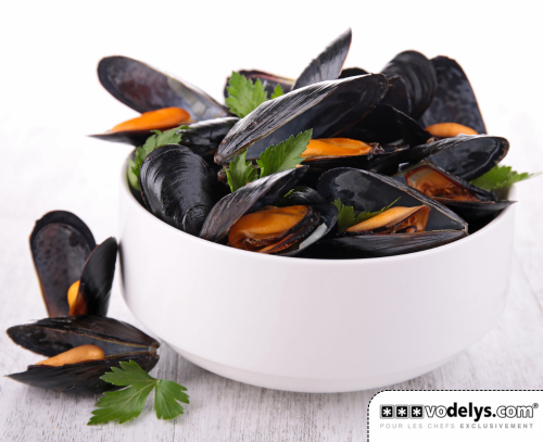 PM-MOULES