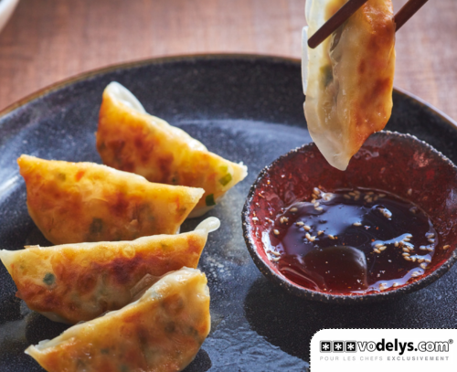 POULET-GYOZA-TORI-POULET
